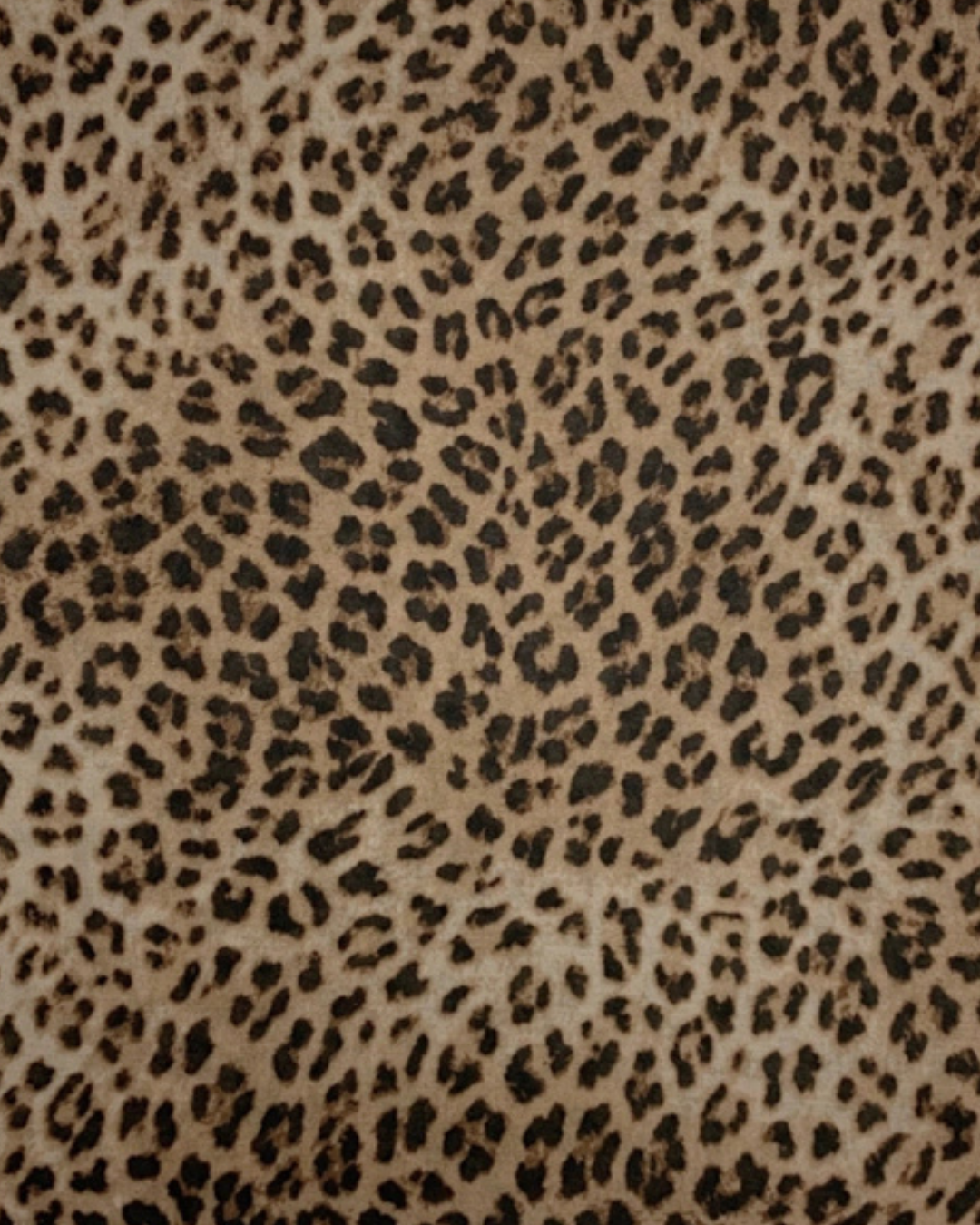 Brown Cheetah Print Cotton Blend Scarf