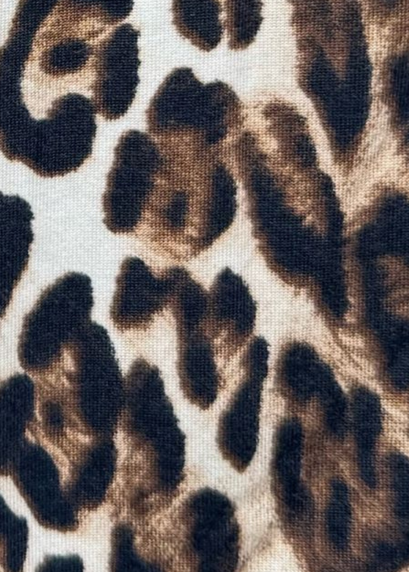 Leopard Scoop Neck Top