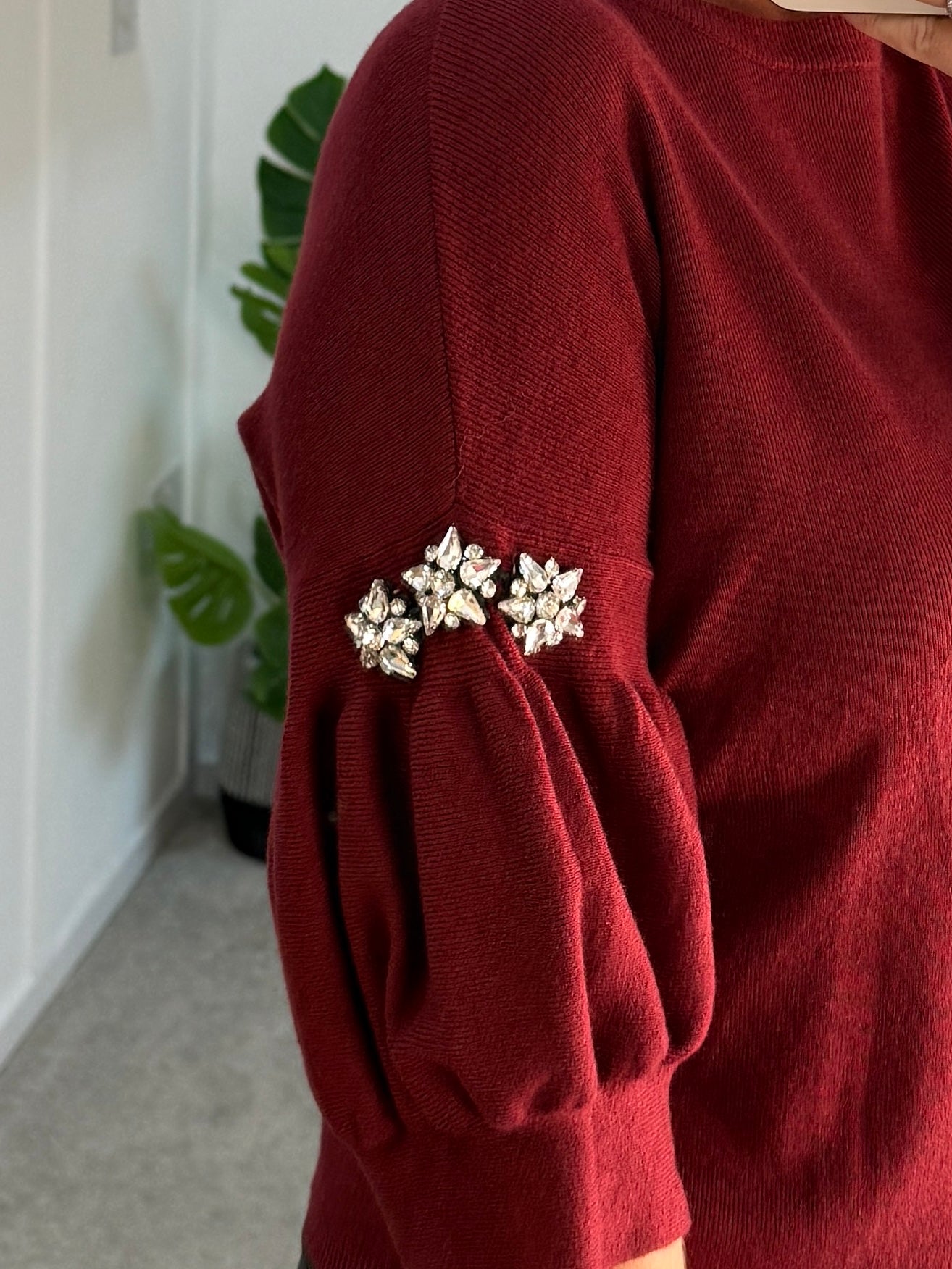Burgundy Diamanté Sleeve Jumper