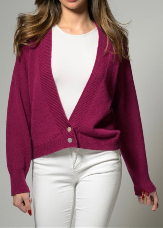New Two Button Cardigan