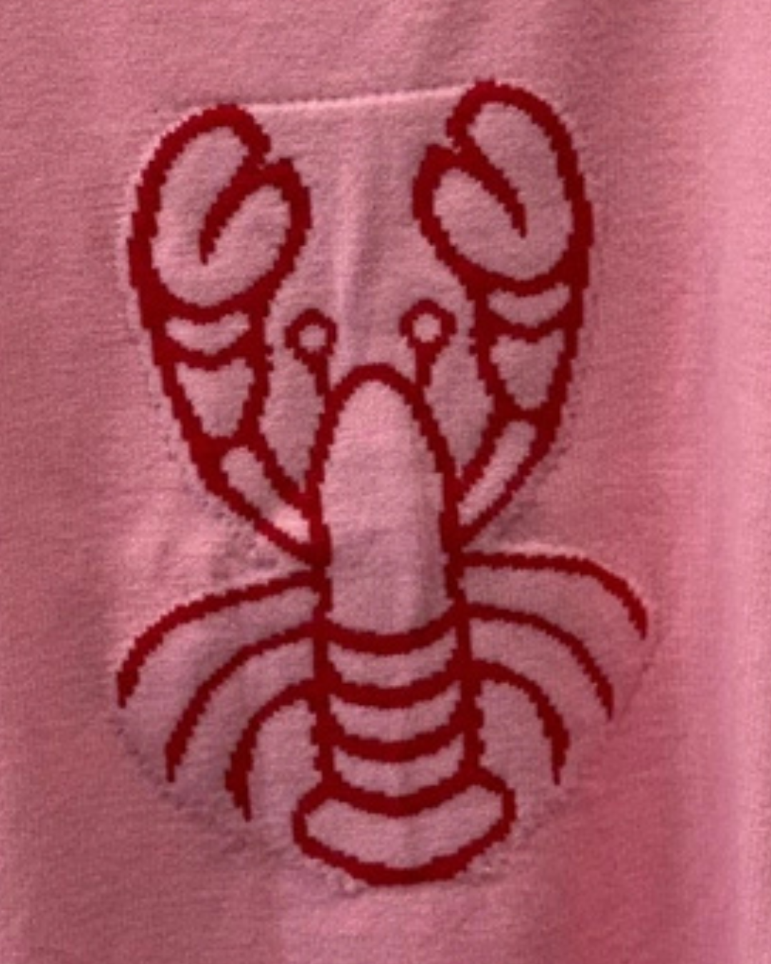 Navy/Red Lobster Motif Tank Top