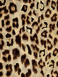 Camel/Gold Leopard Scarf