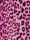 Hot Pink/Gold Leopard Scarf