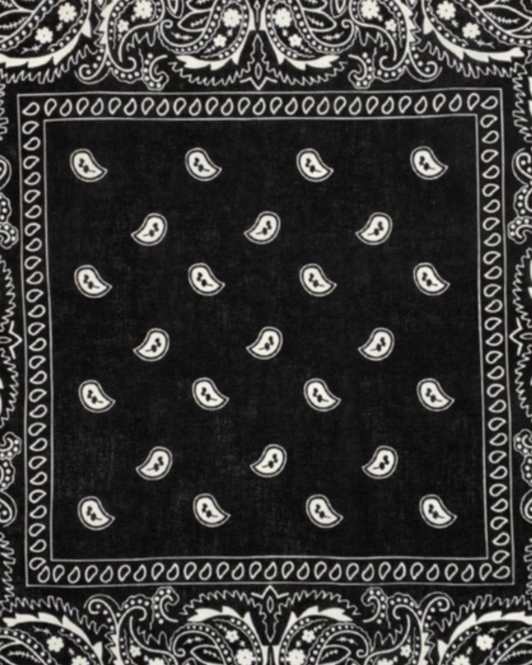 Black Bandana Pure Cotton Paisley Print Square
