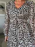 Leopard Print Long Sleeve Maxi Dress