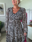 Leopard Print Long Sleeve Maxi Dress