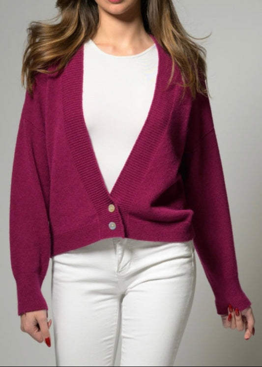 New Two Button Cardigan