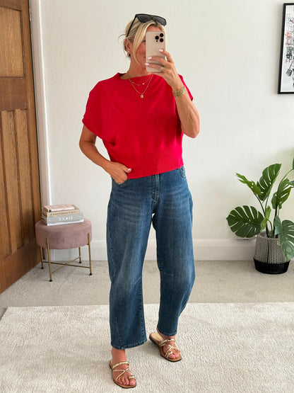 Plum S/Sleeve Batwing Jumper